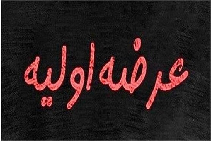 عرضه اولیه ۵ شرکت در راه است