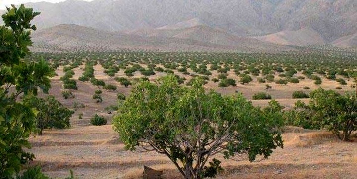 صدای انفجار در نی ریز، مردم را به وحشت انداخت