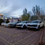 دستور فوری دادستان تهران برای تعیین تکلیف ۲۸۰۰ خودروی وارداتی بلاتکلیف در پارکینگ