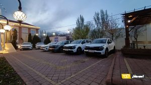 دستور فوری دادستان تهران برای تعیین تکلیف ۲۸۰۰ خودروی وارداتی بلاتکلیف در پارکینگ