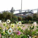 فولاد ایران در نقطه بازنگری؛ وقتی مزیت‌های طبیعی به دام ساختاری بدل می‌شوند