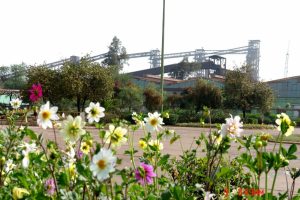 فولاد ایران در نقطه بازنگری؛ وقتی مزیت‌های طبیعی به دام ساختاری بدل می‌شوند