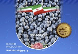 رکورد تولید روزانه کارخانه گندلهسازی شماره ۱ شرکت معدنی و صنعتی گلگهر