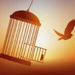 همت کارکنان فولاد آلیاژی ایران برای آزادی ۴ زندانی جرائم غیرعمد